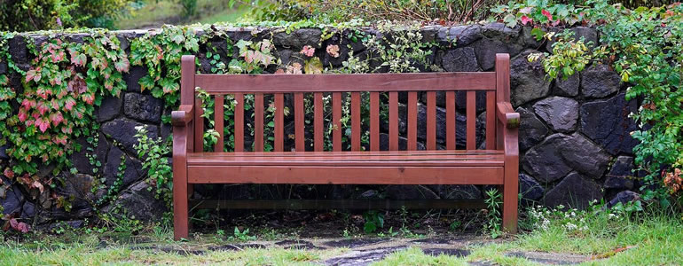 autumn garden bench