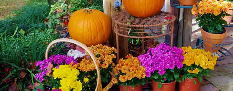 autumn garden display