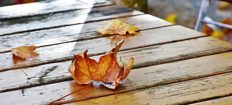 autumn outdoor dining